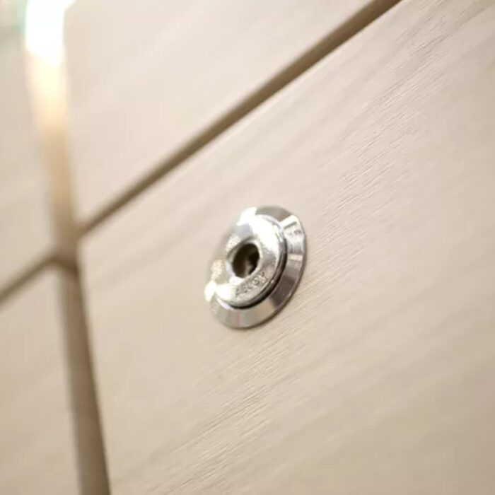 Vinil Decorativo - Image 5